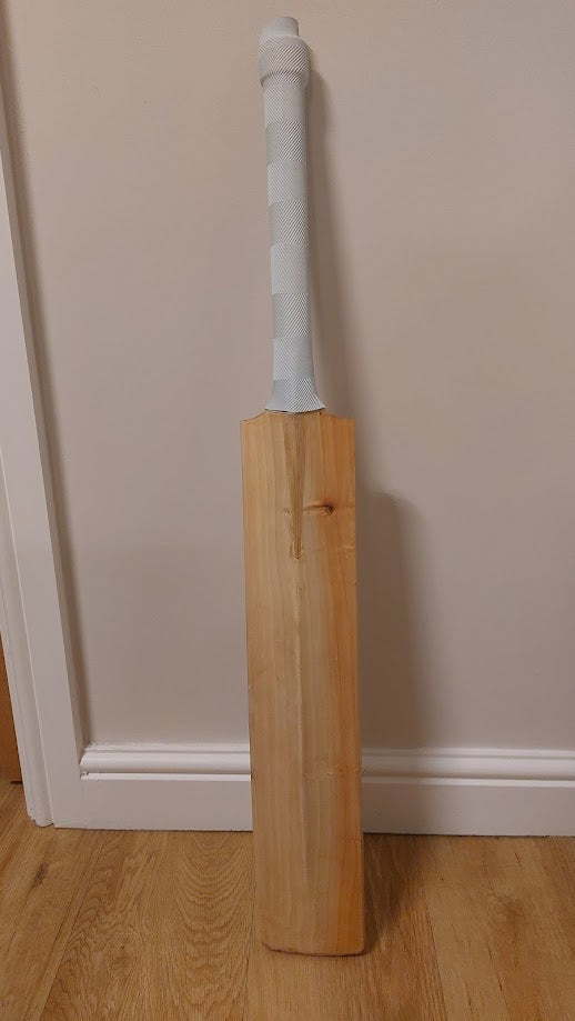 Millichamp and Hall C100 Players Cricket Bat Back