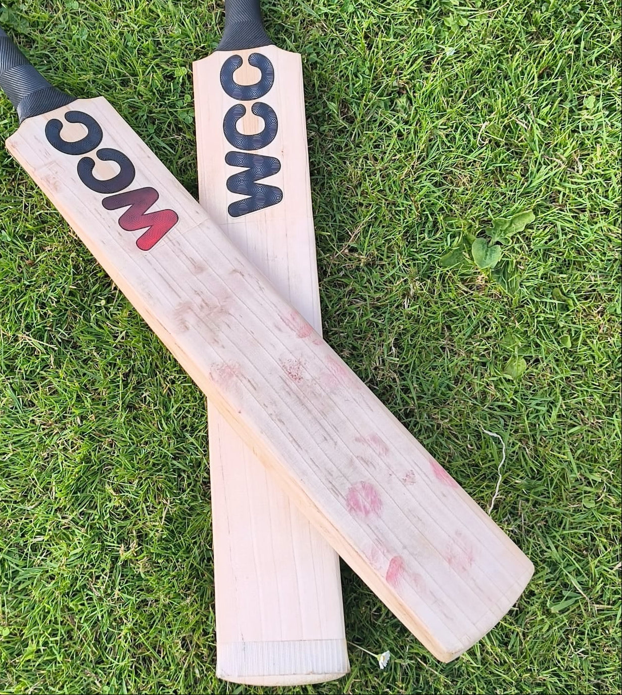 WC Cricket Branded Bats